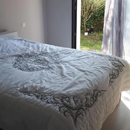 Mimosas * Andernos-les-Bains