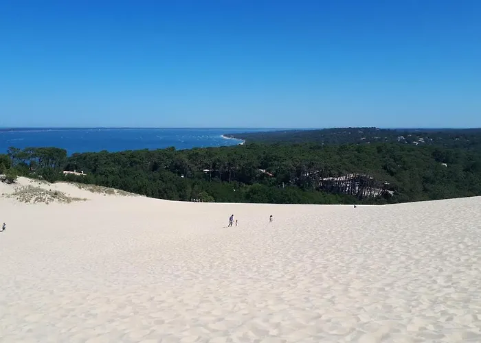 Séjour chez l'habitant Mimosas Andernos-les-Bains