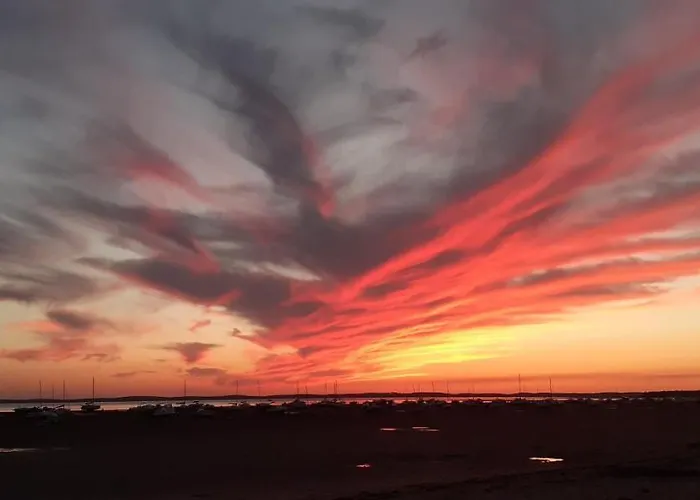 Mimosas אנדרנוס-לה-באינס